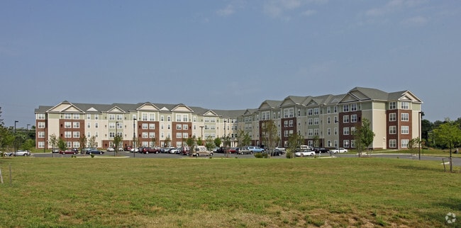 Primary Photo