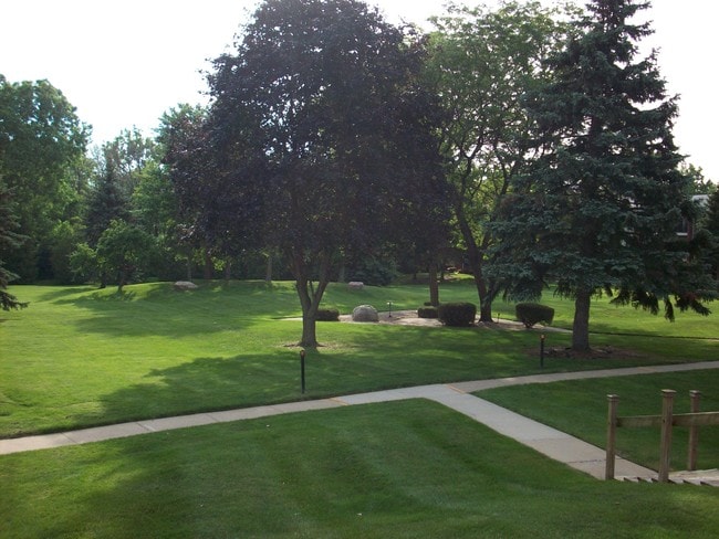 Park Like Setting