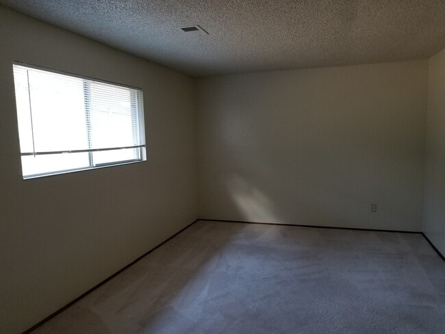 Photo - Gorgeous 3 Bedroom, 2 Bath home in great location