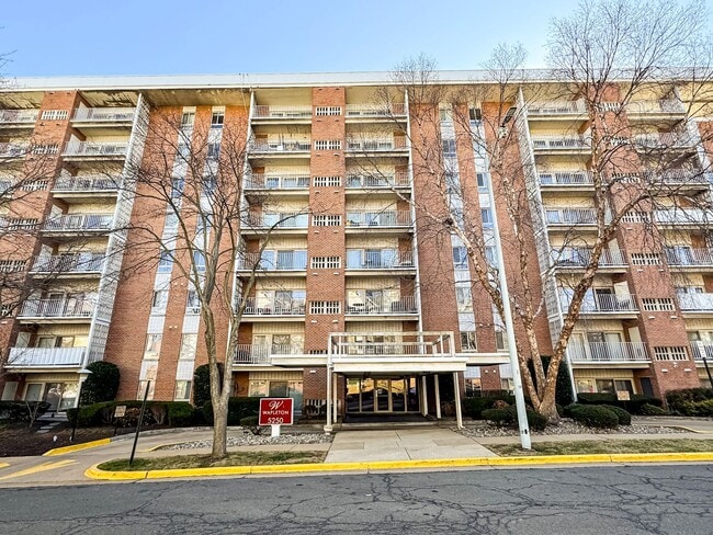 Sun-filled 2 Bed 1 Bath Condo With Large B... - Sun-filled 2 Bed 1 Bath Condo With Large B...