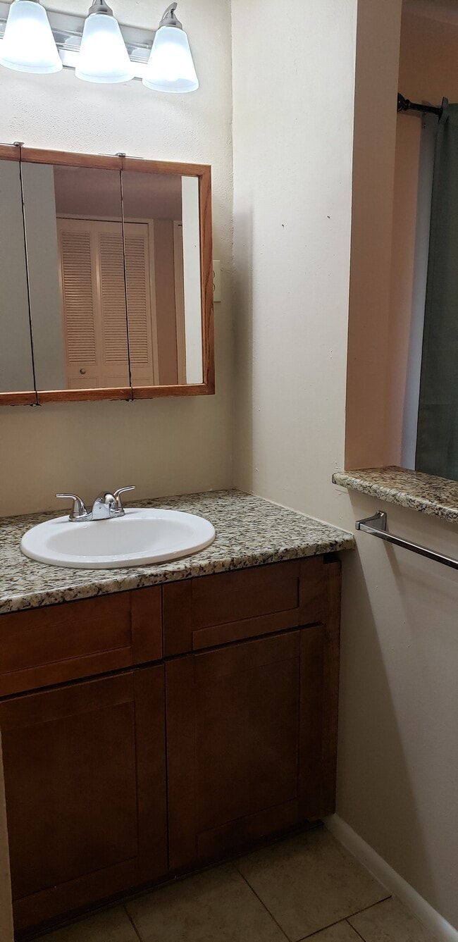 Master bath sink area.