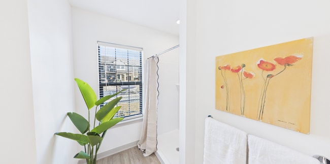 Photo - Kensington Gardens