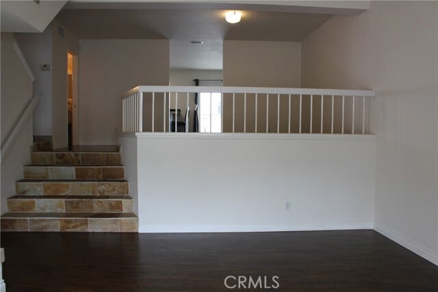 Photo - 11 Starshine