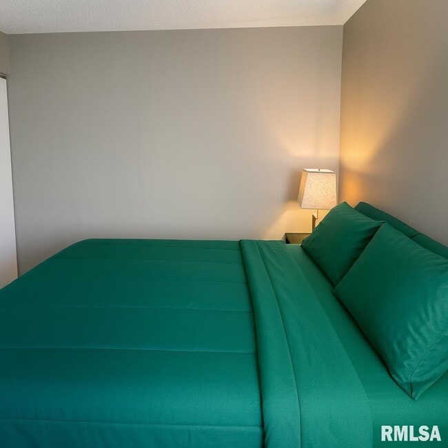 Photo - 2626 W Willowlake Dr Unit 424