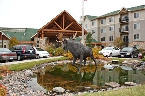 Timber Hills - Timber Hills