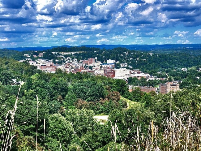 Photo - 3 bed/2.5 bath Townhouse in Westover - Ava...