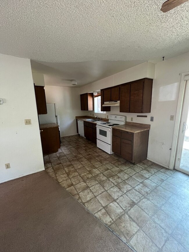 Photo - $2,125 - 3 Bedroom/1.5 Bath and Backyard. Christmas Tree Estates.
