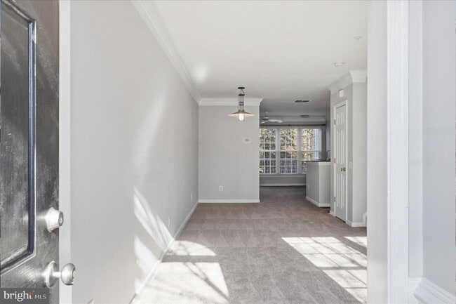 Photo - 5916 Terrapin Pl