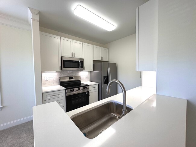 Newly renovated kitchen - 1331 Arborgate Cir
