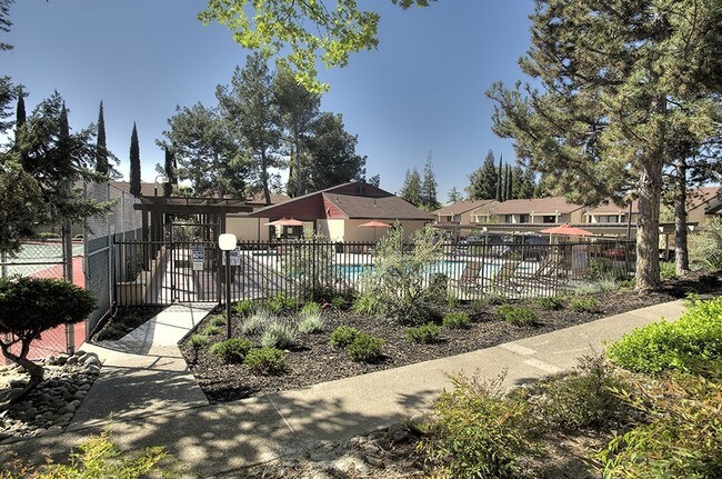 Overview Pool and Spa - Meridian Terrace