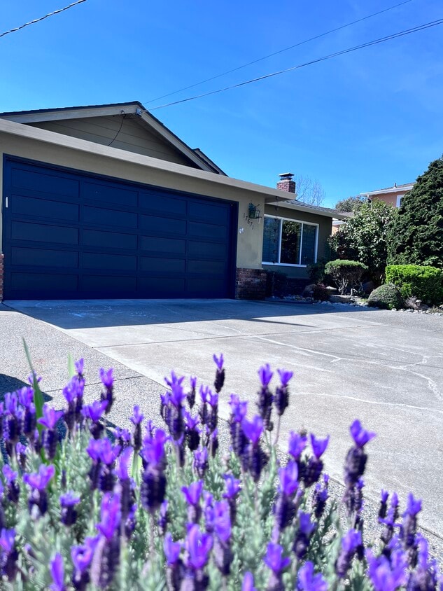 Photo - 17671 Trenton Dr (Castro Valley, CA)