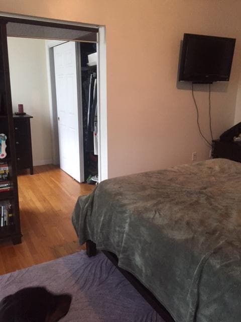 Photo - 116 White St Apartments Unit 3