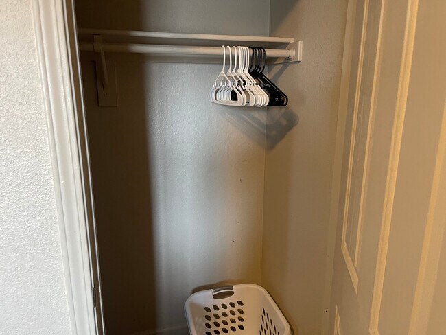 Spacious closet in guest bedroom