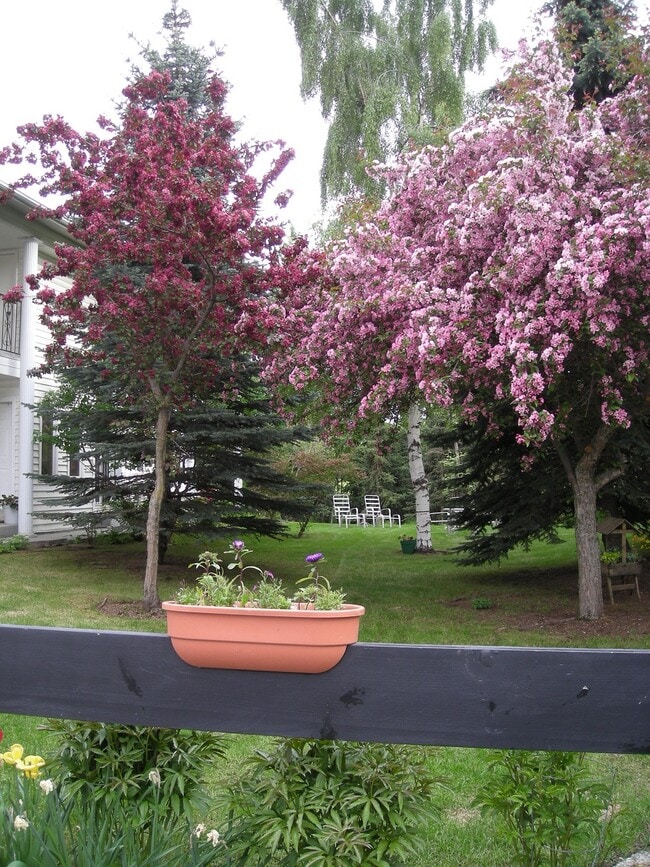 Building Photo - 700 W 47th Ave Unit #2