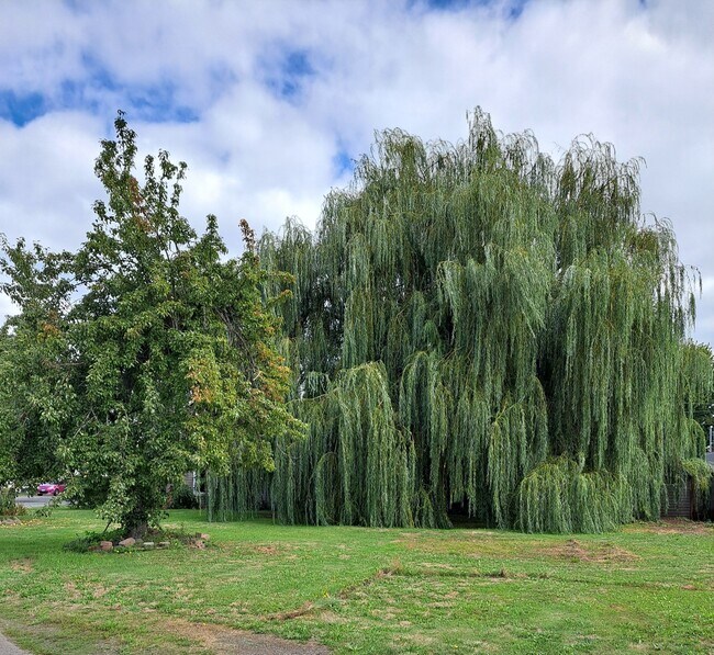 1204 Washington St Rental House Rental in Sumner, WA