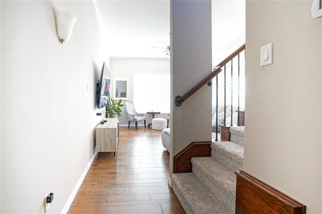 Photo - 4650 Penelope Ln