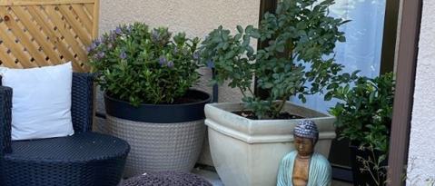 Photo - 3 San Jose Vineyard Ct