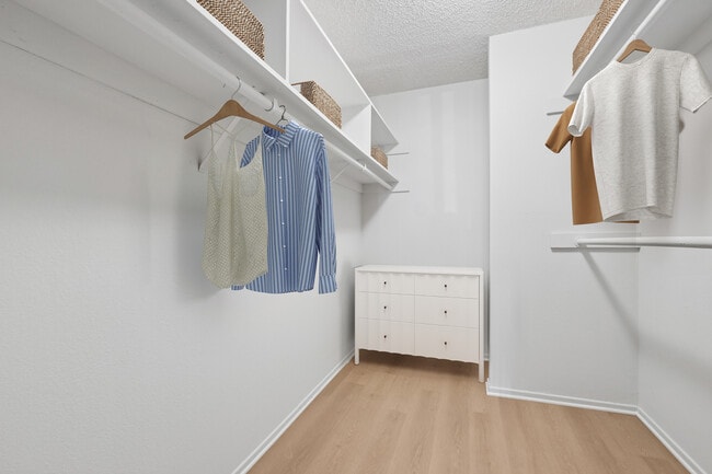 Spacious walk-in closet