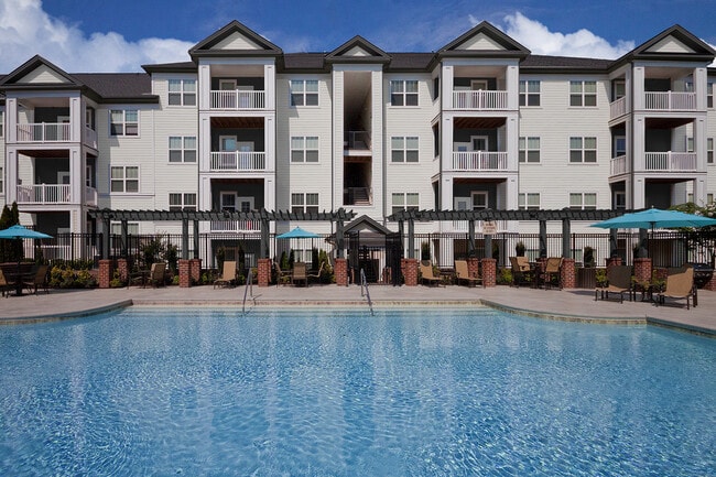 Soak in the sun at our expansive saltwater swimming pool with outdoor TV and cabana - Chancery Village