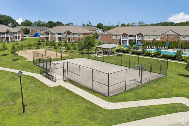 Basketball Court