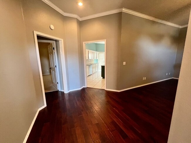 Photo - AVAILABLE NOW!