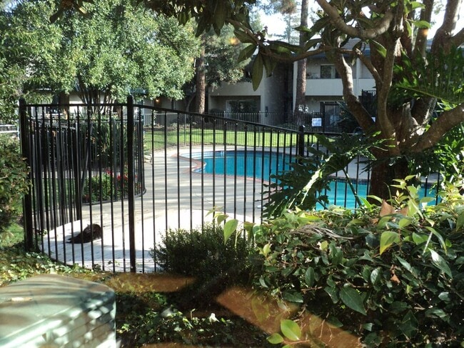 Photo - 1731 Ellis St Unit 24