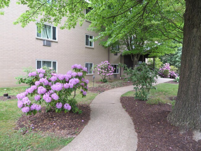 Photo - FOXWOOD ROAD -- 160