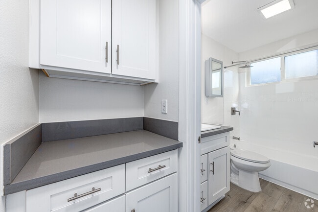 1BR, 1BA - 500SF - Closet