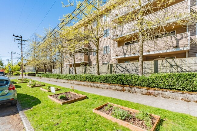 Photo - Park Royal Apartments