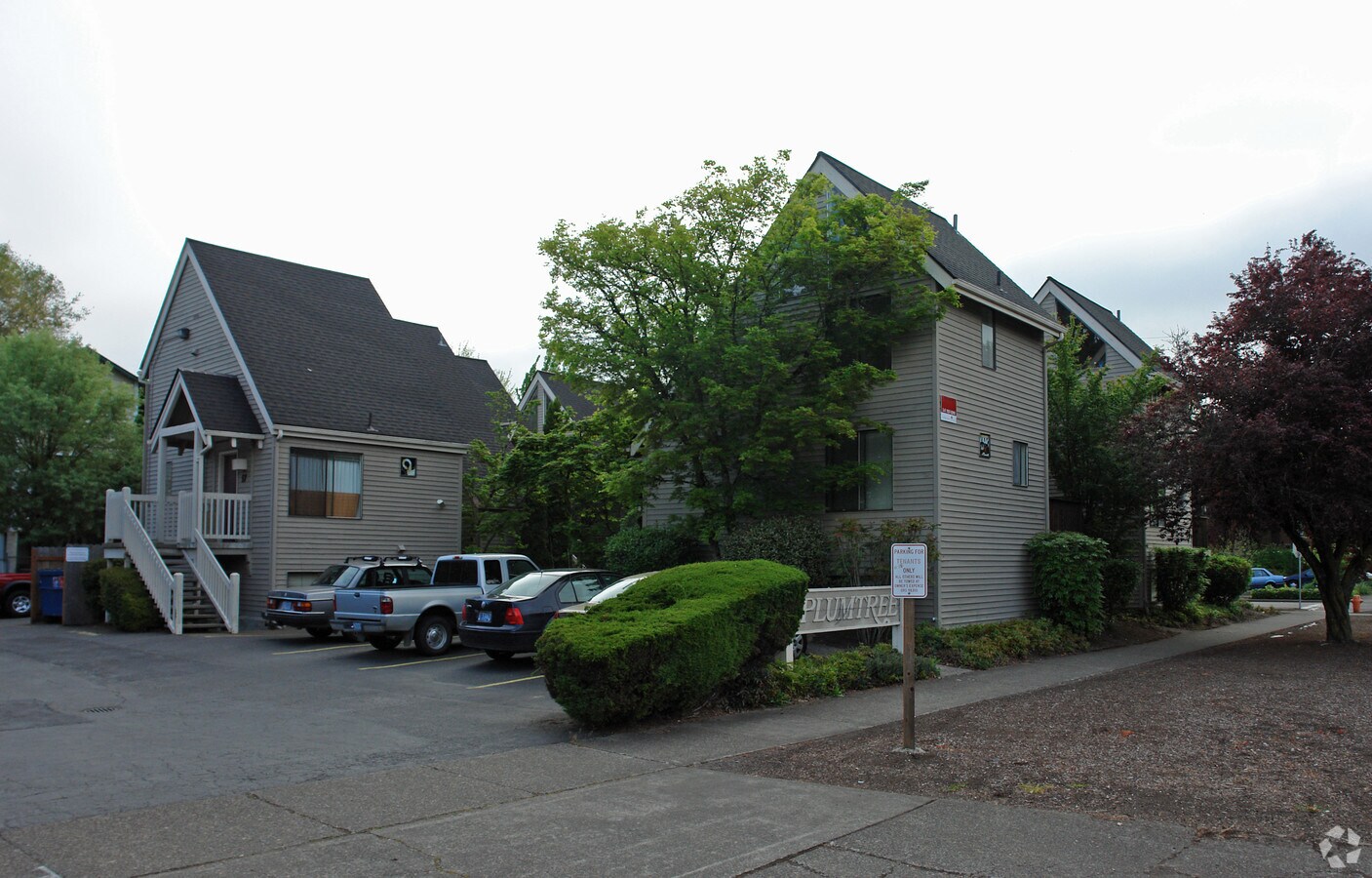 Plumtree Apartments - Plumtree Apartments