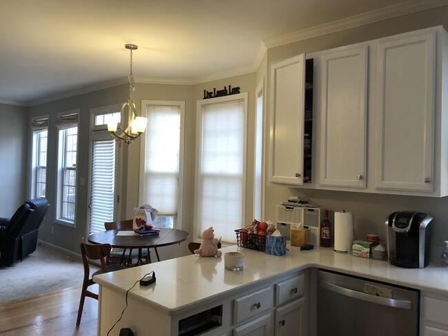 Kitchen/breakfast area/den - 105 Dove St