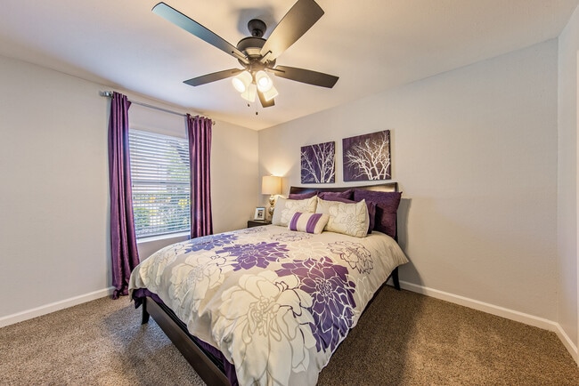 Photo - The Domain at Ellington