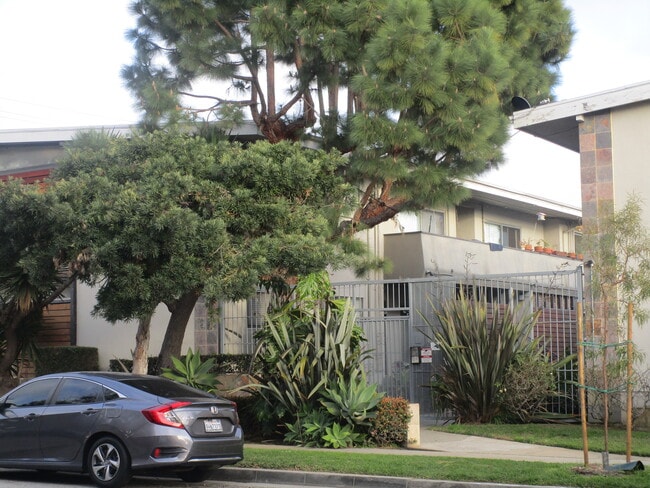 Photo - Venice Dreams