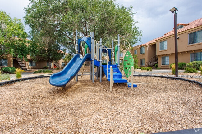 Playground - Cinnamon Tree