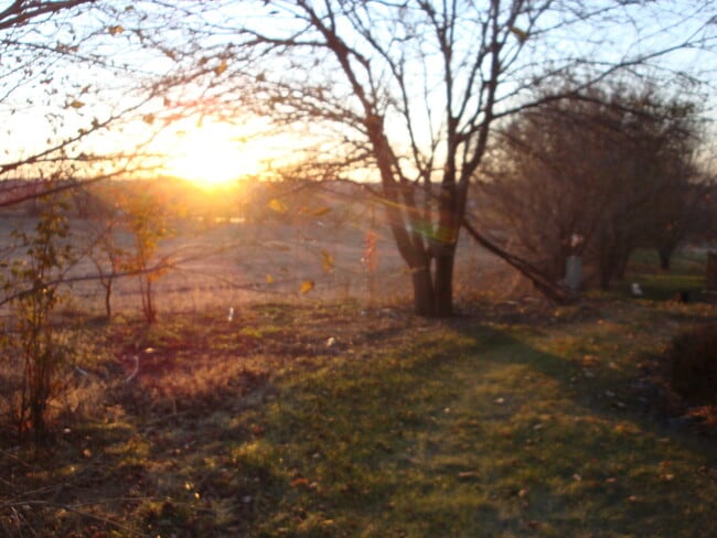 Photo - Nice Town Home in Bellevue!