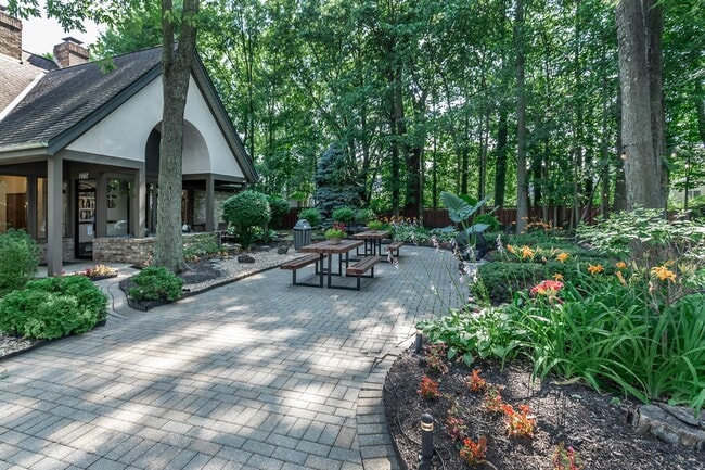 Photo - Stratford Chase