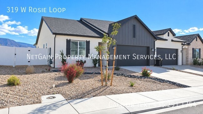 319 W Rosie Lp