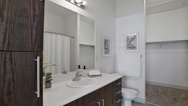 Modern bathroom vanity with clean finishes and convenient storage.