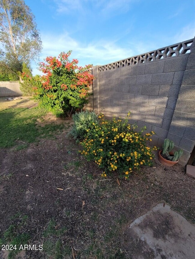 Photo - 1341 W Shannon St