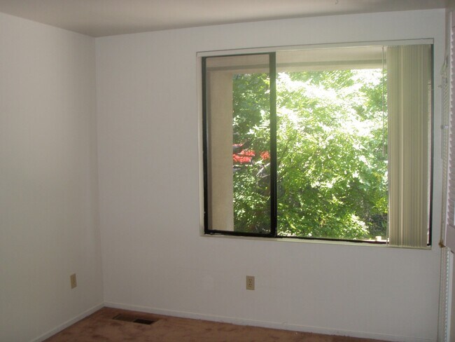 Photo - 651 Brizzolara #2