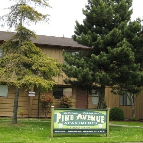 Pine Avenue - Pine Avenue Apartments