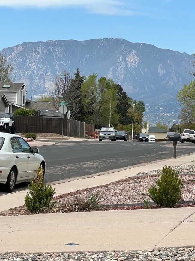 Photo - 4797 Live Oak Dr