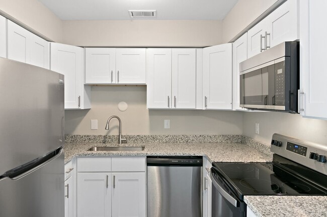 Photo - Stony on Van Dyke