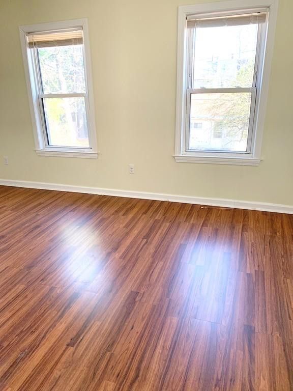 Planta 2: BR1 - 11 Kingsley Ave Unidad 11