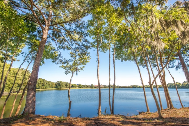 Photo - Walden at Chatham Center