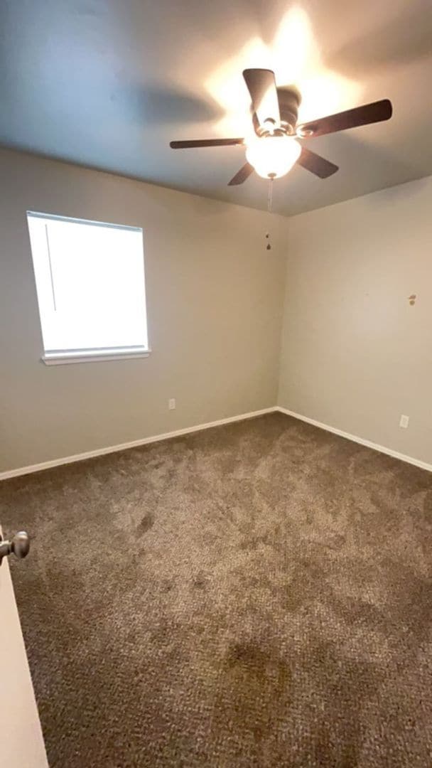 Photo - 216 Versailles Ave