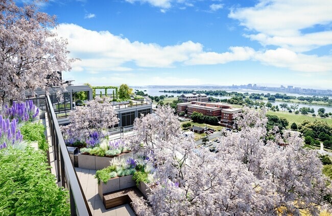 Building Photo - Everly Rental