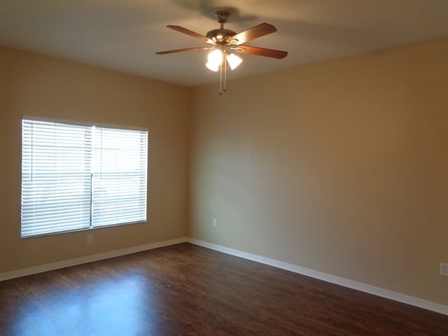 Photo - 11640 Palmetto Pine St