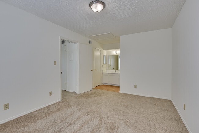 Bedroom & Vanity - Woodwinds Apartments