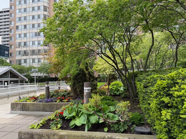 711 Bay St Unit Condominium